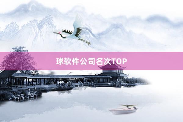 球软件公司名次TOP