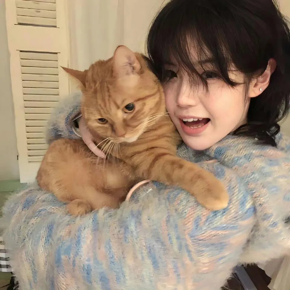 鲁邦三世：宝物返还大作战