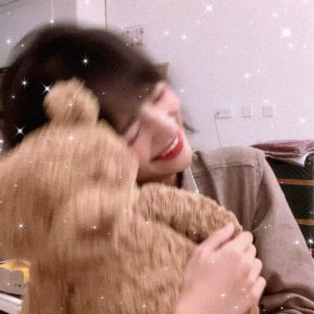 空中浩劫第十三季